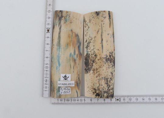 Stabilised mammoth bark scales