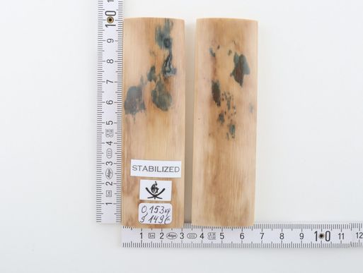 Stabilized mammoth bark scales