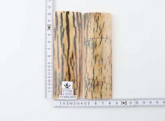 Stabilized mammoth bark scales