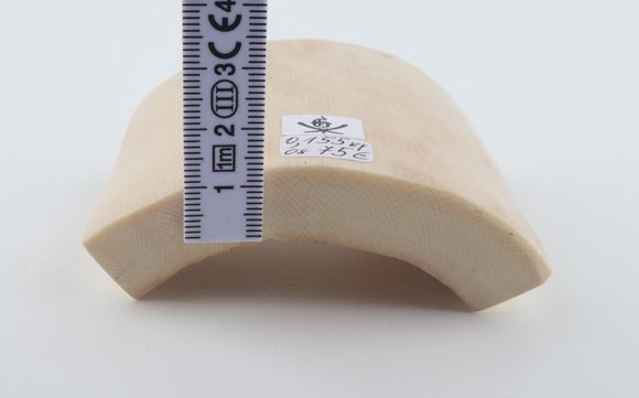 White mammoth ivory piece