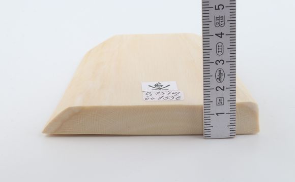 White mammoth ivory segment