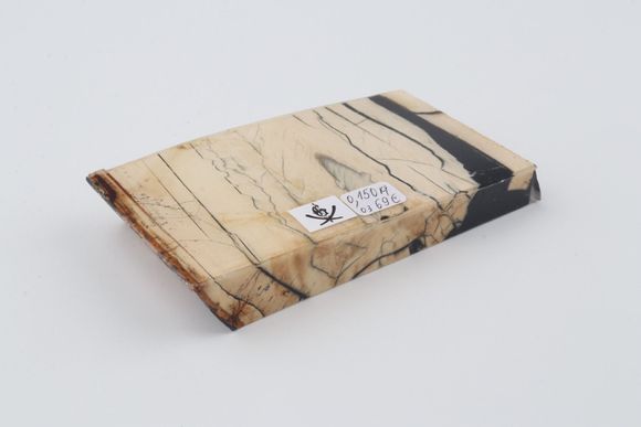 Stabilised mammoth ivory piece