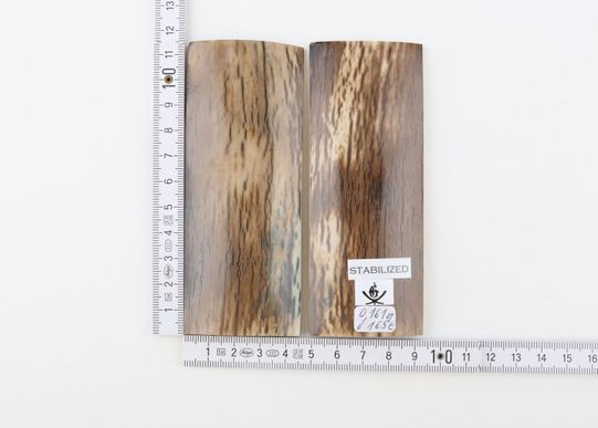 Stabilised mammoth bark scales