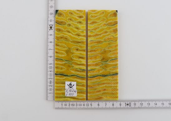 Stabilised mammoth molar scales
