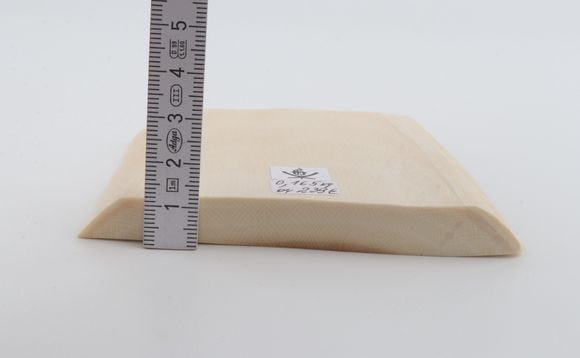 White mammoth ivory segment