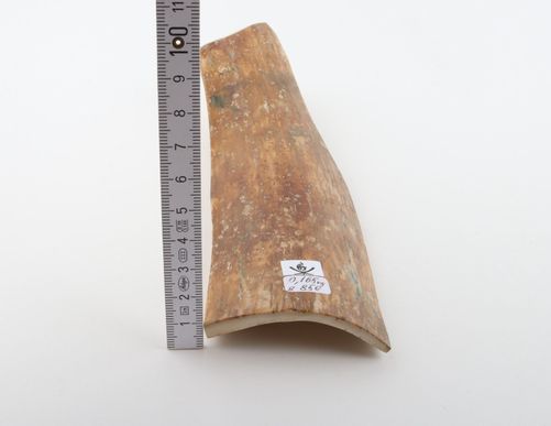 Caramel mammoth bark