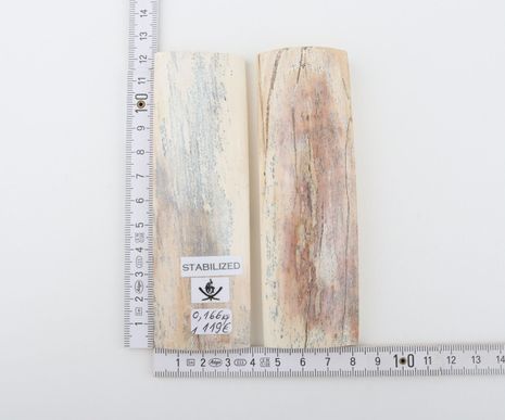 Stabilised mammoth bark scales