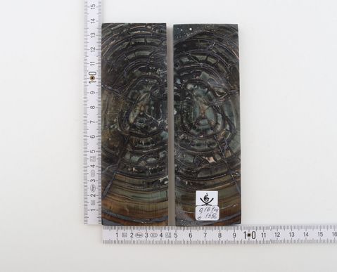 Stabilized mammoth ivory scales