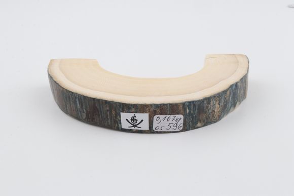 Natural mammoth ivory piece
