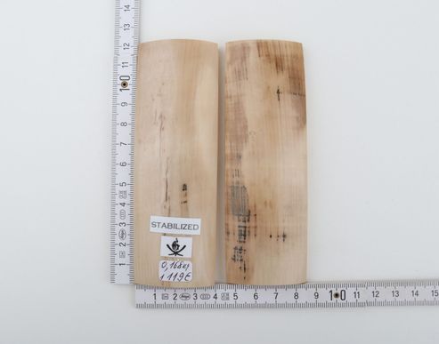 Stabilised mammoth bark scales
