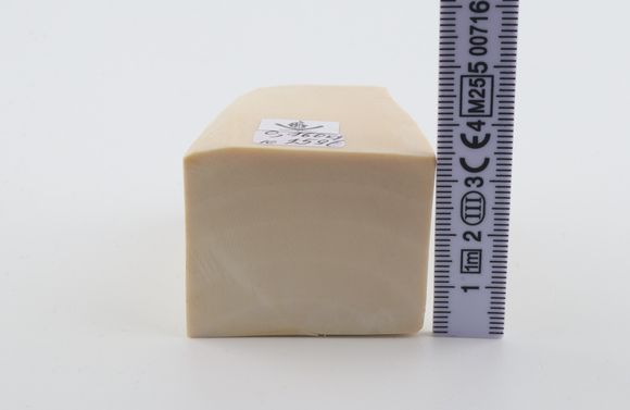 White mammoth ivory segment