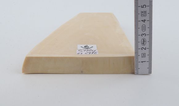 White mammoth ivory segment