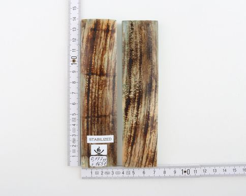 Stabilized mammoth bark scales
