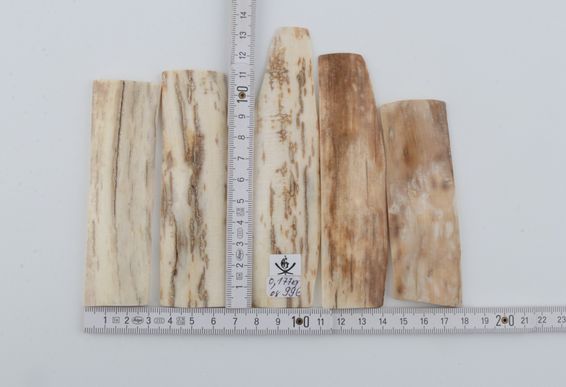 Natural mammoth bark pieces