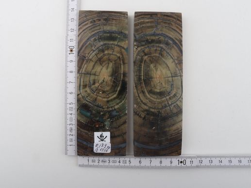 Stabilised mammoth ivory scales