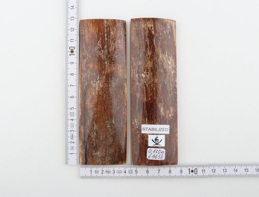 Stabilised mammoth bark scales