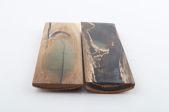 Stabilised mammoth bark scales