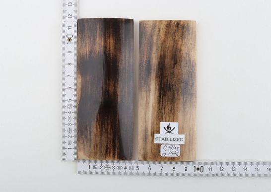 Stabilised mammoth bark scales