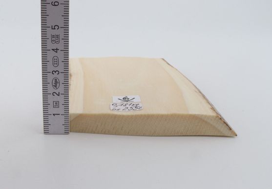White mammoth ivory segment