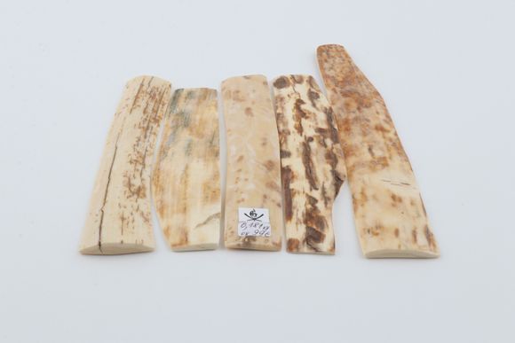 Natural mammoth bark pieces