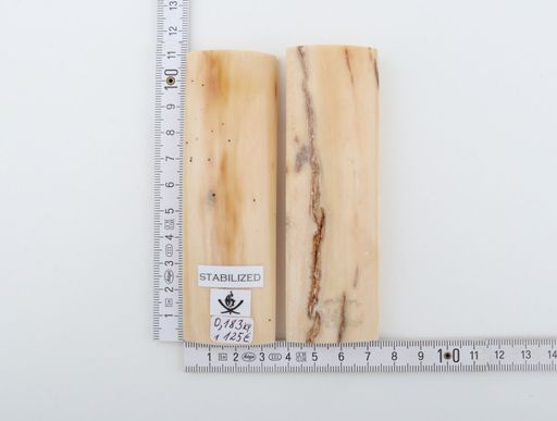 Stabilized mammoth bark scales