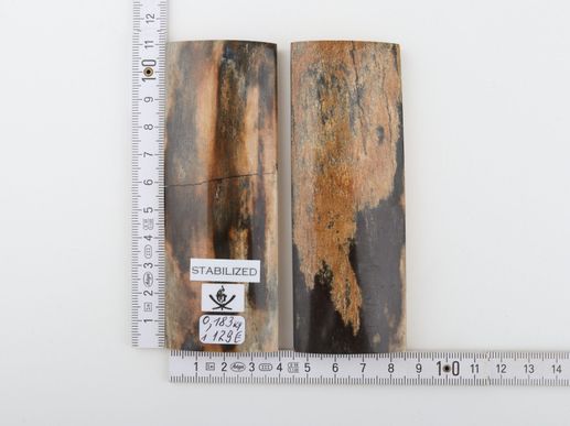 Stabilised mammoth bark scales