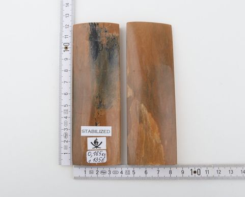 Stabilized mammoth bark scales