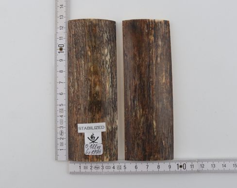 Stabilized mammoth bark scales