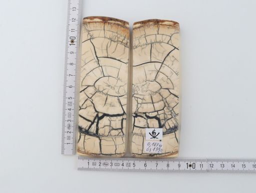Stabilized mammoth ivory scales