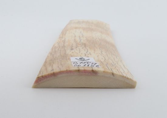 Natural mammoth ivory piece