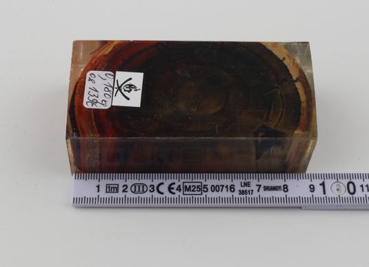 Stabilised mammoth ivory block