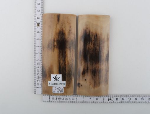 Stabilized mammoth bark scales
