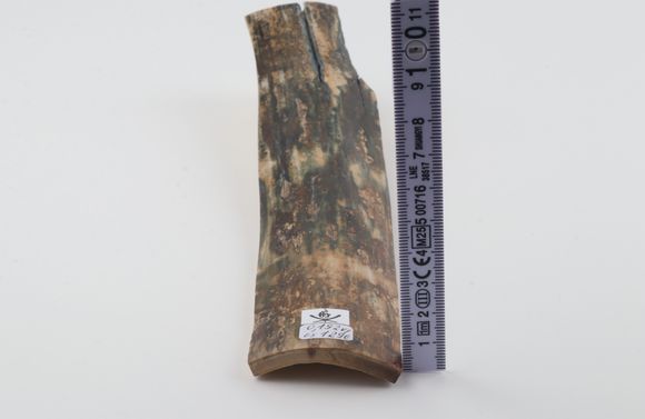 Natural woolly mammoth bark