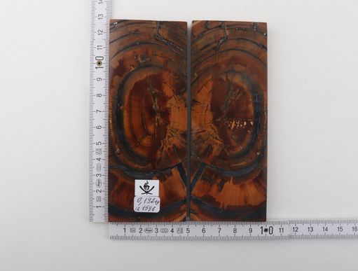 Stabilized mammoth ivory scales