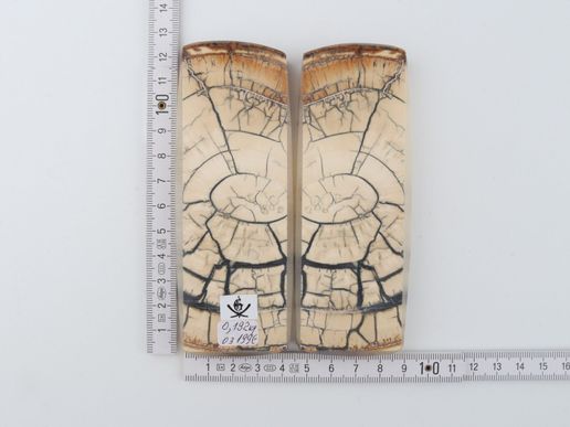 Stabilised mammoth ivory scales
