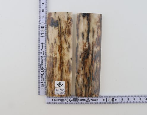 Natural mammoth bark scales