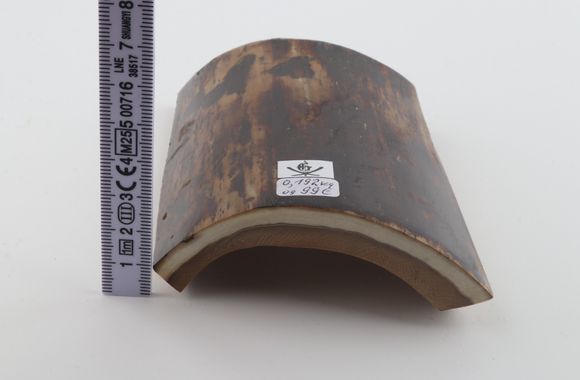 Brown mammoth bark