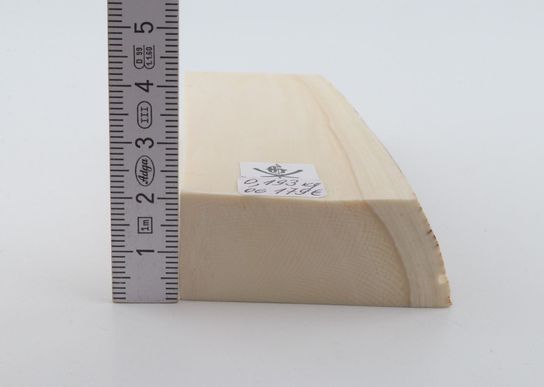 White mammoth ivory segment