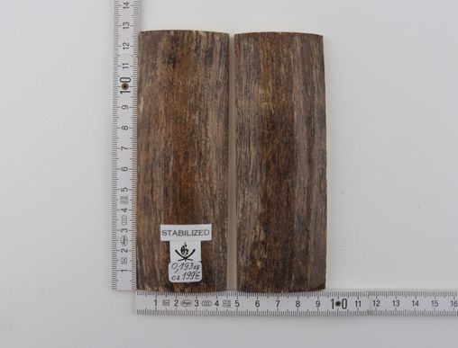 Stabilized mammoth bark scales