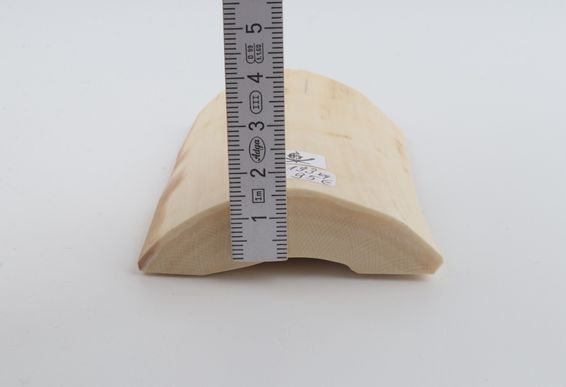 White mammoth ivory piece