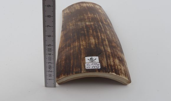 Brown mammoth bark