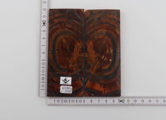 Stabilised mammoth ivory scales