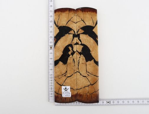 Stabilized mammoth ivory scales