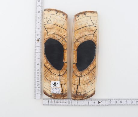 Stabilised mammoth ivory scales