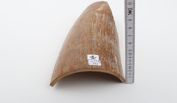 Brown-caramel mammoth bark
