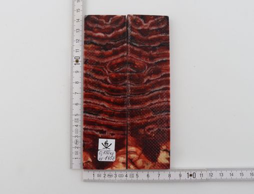 Stabilised mammoth molar scales