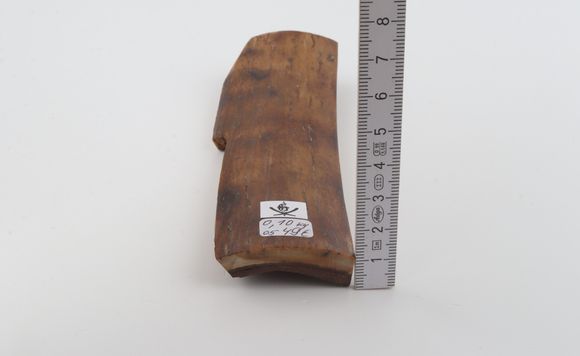 Brown-mustard mammoth bark