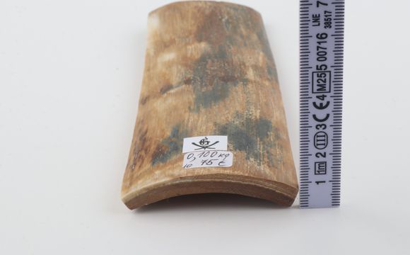 Natural woolly mammoth bark