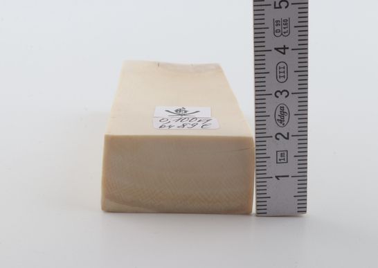 White mammoth ivory segment