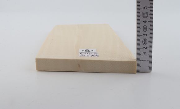 White mammoth ivory segment